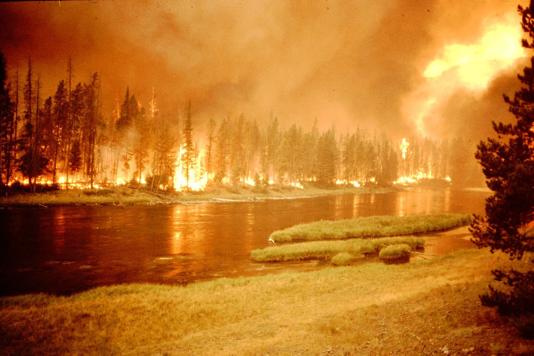 Madison River
